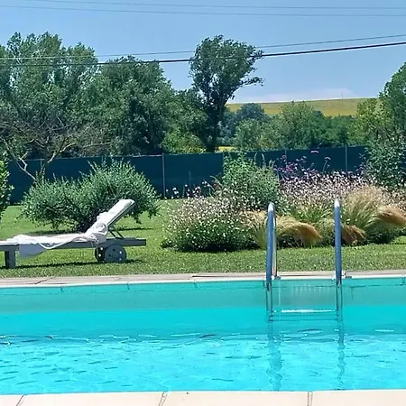 Guazzi * Пезаро